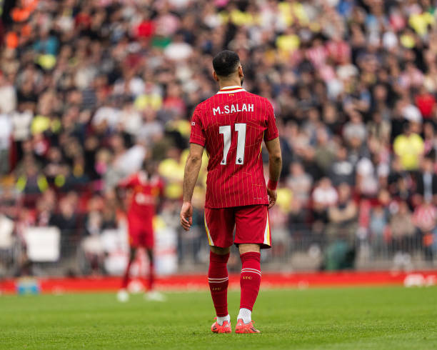 这为年轻球 这为年轻球